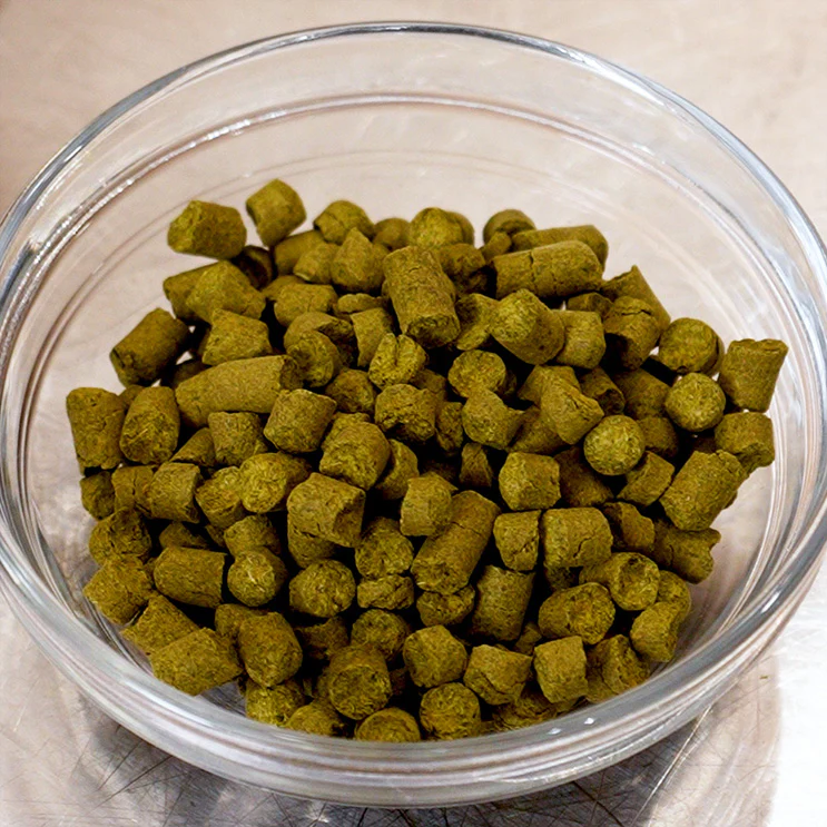 Beer Making Kit - Citra Pale Ale - 1 Gallon - Image 4